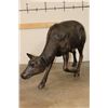 Image 4 : XXXL Bronze DOE Deer Sculpture, Weight 70 lbs
