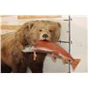Image 6 : Life-sized GRIZZLY BEAR or BROWN BEAR with a *Real Skin* Sockeye SALMON. No Base/No Bolts