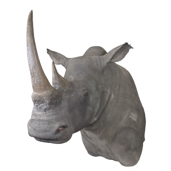 *TEXAS RESIDENTS ONLY* *Real Skin* RHINOCEROS Shoulder Mount with Reproduction Horns