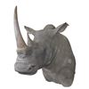 Image 1 : *TEXAS RESIDENTS ONLY* *Real Skin* RHINOCEROS Shoulder Mount with Reproduction Horns