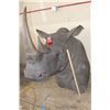 Image 3 : *TEXAS RESIDENTS ONLY* *Real Skin* RHINOCEROS Shoulder Mount with Reproduction Horns