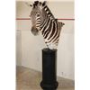 Image 1 : ZEBRA Pedestal Mount