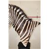Image 6 : ZEBRA Pedestal Mount