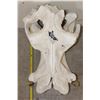 Image 12 : XL HIPPOPOTAMUS Skull with *Real Molars* and Reproduction Canines and Incisors