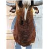 Image 10 : Big LONGHORN Steer Shoulder Mount