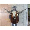 Image 1 : Big LONGHORN Steer Shoulder Mount
