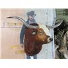 Image 3 : Big LONGHORN Steer Shoulder Mount