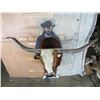 Image 7 : Big LONGHORN Steer Shoulder Mount