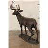 Image 3 : XL WHITETAIL DEER Buck Bronze Sculpture, Weight 29 lbs
