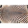 Image 10 : *Big* Felted ZEBRA Hide Rug
