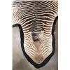 Image 3 : *Big* Felted ZEBRA Hide Rug
