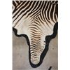 Image 5 : *Big* Felted ZEBRA Hide Rug