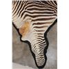 Image 8 : *Big* Felted ZEBRA Hide Rug