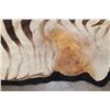 Image 9 : *Big* Felted ZEBRA Hide Rug
