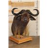 Image 1 : CAPE BUFFALO Pedestal Mount on a Wood Base with Wheels