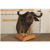 Image 2 : CAPE BUFFALO Pedestal Mount on a Wood Base with Wheels