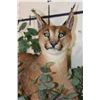 Image 5 : Life-sized CARACAL CAT Laying on a Wood Branch Base
