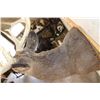 Image 9 : XL 15-Point WHITETAIL DEER Shoulder Mount
