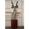 Image 1 : XXL KUDU Pedestal Mount (with Wheels)