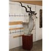 Image 3 : XXL KUDU Pedestal Mount (with Wheels)