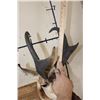 Image 9 : *Like New* PRONGHORN Shoulder Mount