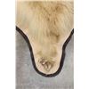 Image 10 : Blonde Phase BLACK BEAR Rug
