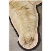 Image 11 : Blonde Phase BLACK BEAR Rug
