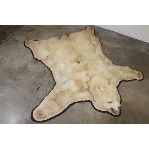 Blonde Phase BLACK BEAR Rug