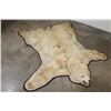 Image 1 : Blonde Phase BLACK BEAR Rug