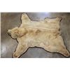 Image 3 : Blonde Phase BLACK BEAR Rug