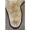Image 8 : Blonde Phase BLACK BEAR Rug