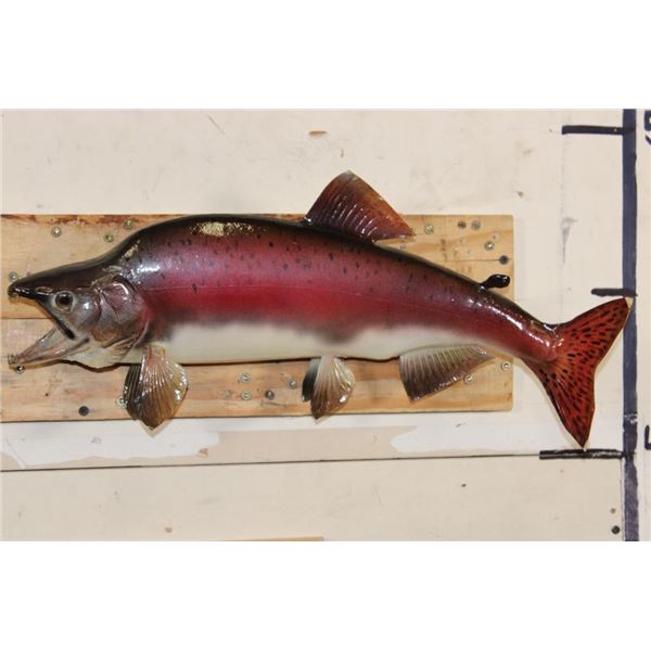 *Real Skin* STEELHEAD TROUT Fish Mount