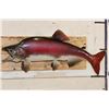 Image 1 : *Real Skin* STEELHEAD TROUT Fish Mount