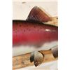 Image 6 : *Real Skin* STEELHEAD TROUT Fish Mount