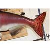 Image 7 : *Real Skin* STEELHEAD TROUT Fish Mount