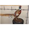 Image 3 : Life-sized RING-NECKED PHEASANT on a Wooden Base