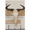 Image 1 : BLUE WILDEBEEST Skull with a Wire Hanger