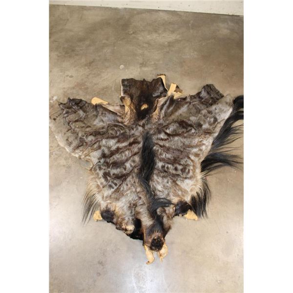 BLUE WILDEBEEST Cape for a Shoulder Mount Taxidermy