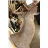 Image 6 : Symmetrical 9-Point WHITETAIL DEER Shoulder Mount