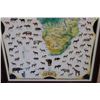Image 6 : Rowland Ward "Hunting and Conservation" Africa Map Print by artist E. Buckley in a Wood and Glass