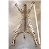 Image 2 : BOBCAT Hide or Pelt with its Paws and Most of its Claws