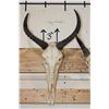 Image 2 : (1) TSESSEBE Skull and (1) REEDBUCK Skull with Wire Wall Hangers (ONE$)