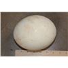 Image 2 : OSTRICH Egg