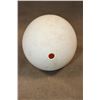 Image 4 : OSTRICH Egg