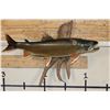 Image 1 : *Real Skin* BROOK TROUT on a Driftwood Wall Hanger