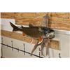 Image 2 : *Real Skin* BROOK TROUT on a Driftwood Wall Hanger
