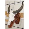 Image 3 : Big WATER BUFFALO Skull on a Wooden Wall Pedestal
