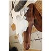 Image 4 : Big WATER BUFFALO Skull on a Wooden Wall Pedestal