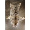 Image 1 : WOLF Hide or Pelt