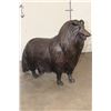 Image 1 : XL Bronze COLLIE Dog Bronze Sculpture, Weight 58 lbs